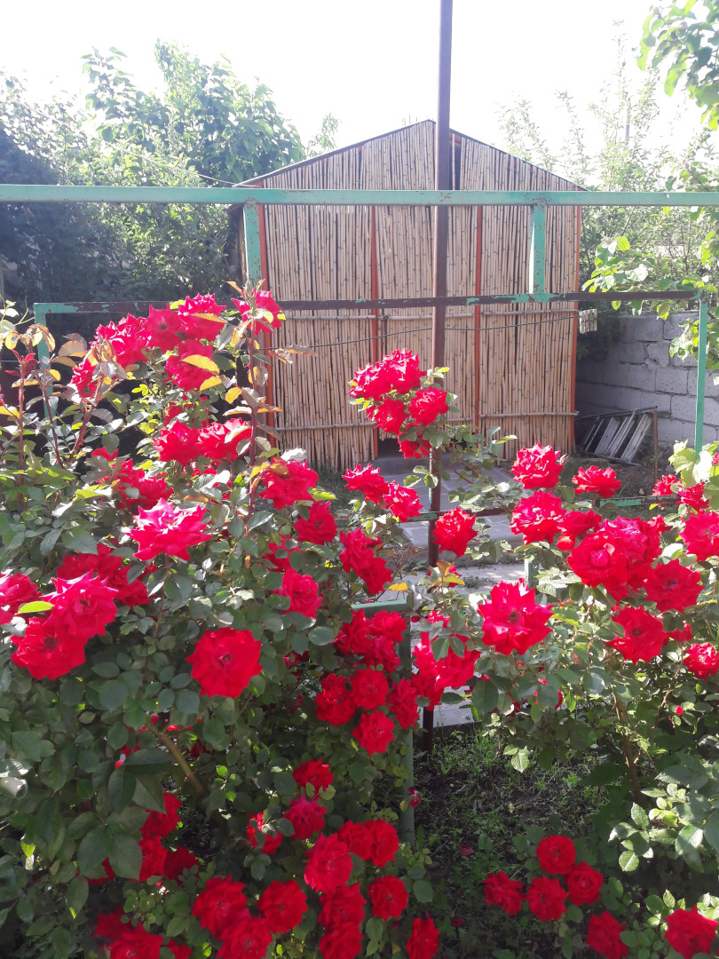 Мини-отель Ani