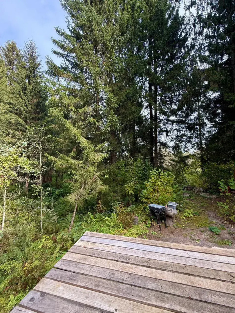 Частный дом Юрта среди сосен