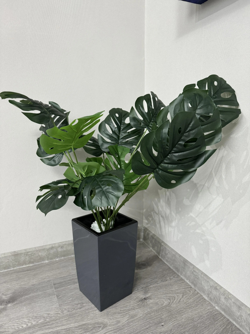 Квартира Студия 5