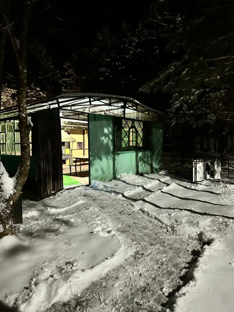 Гостевой дом Чудиново 33