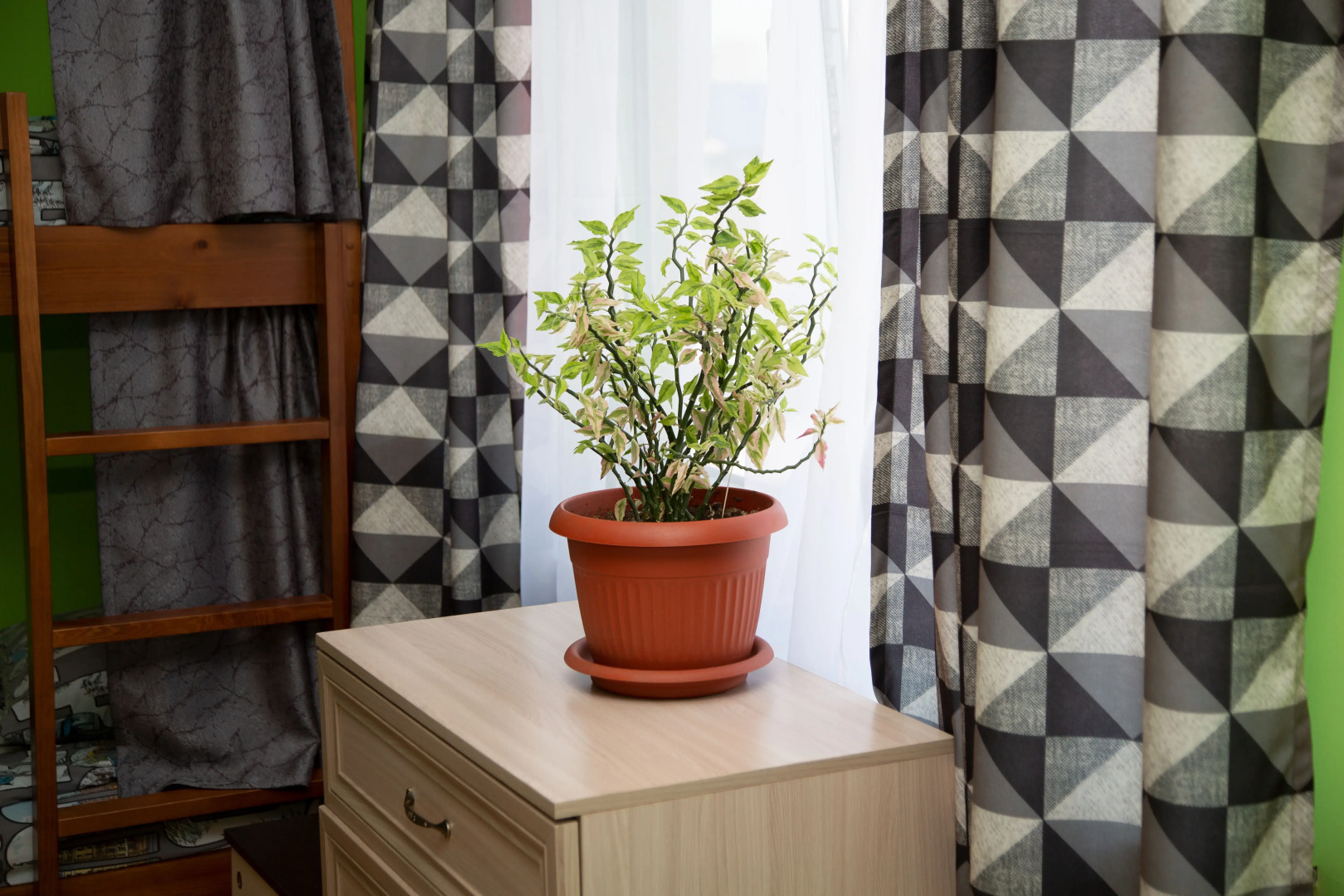 Хостел Белояръ