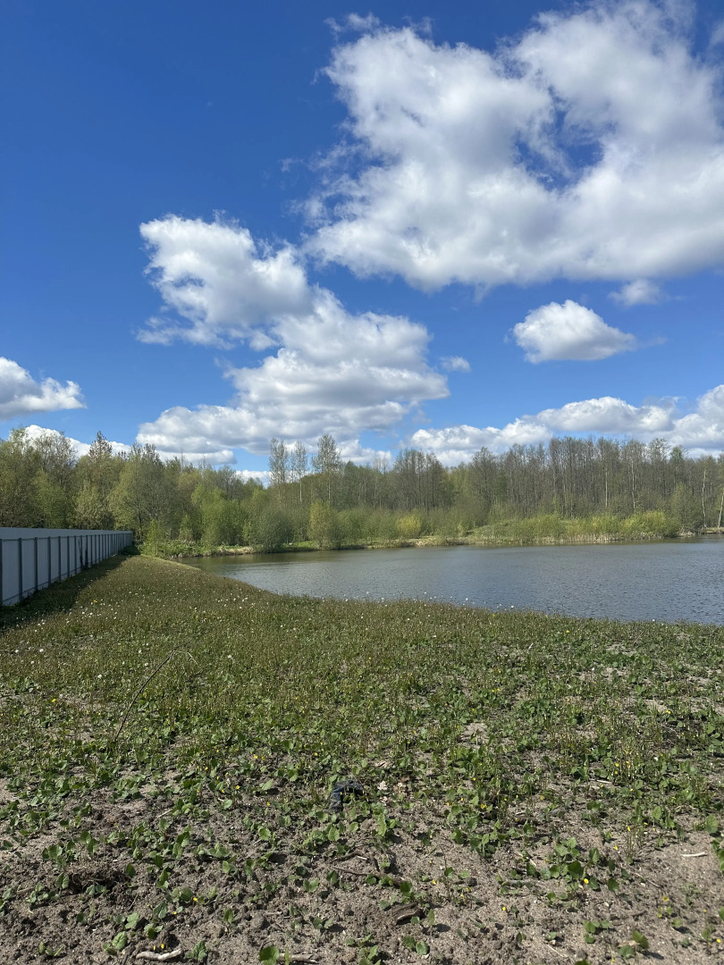 Гостевой Дом на Пруду