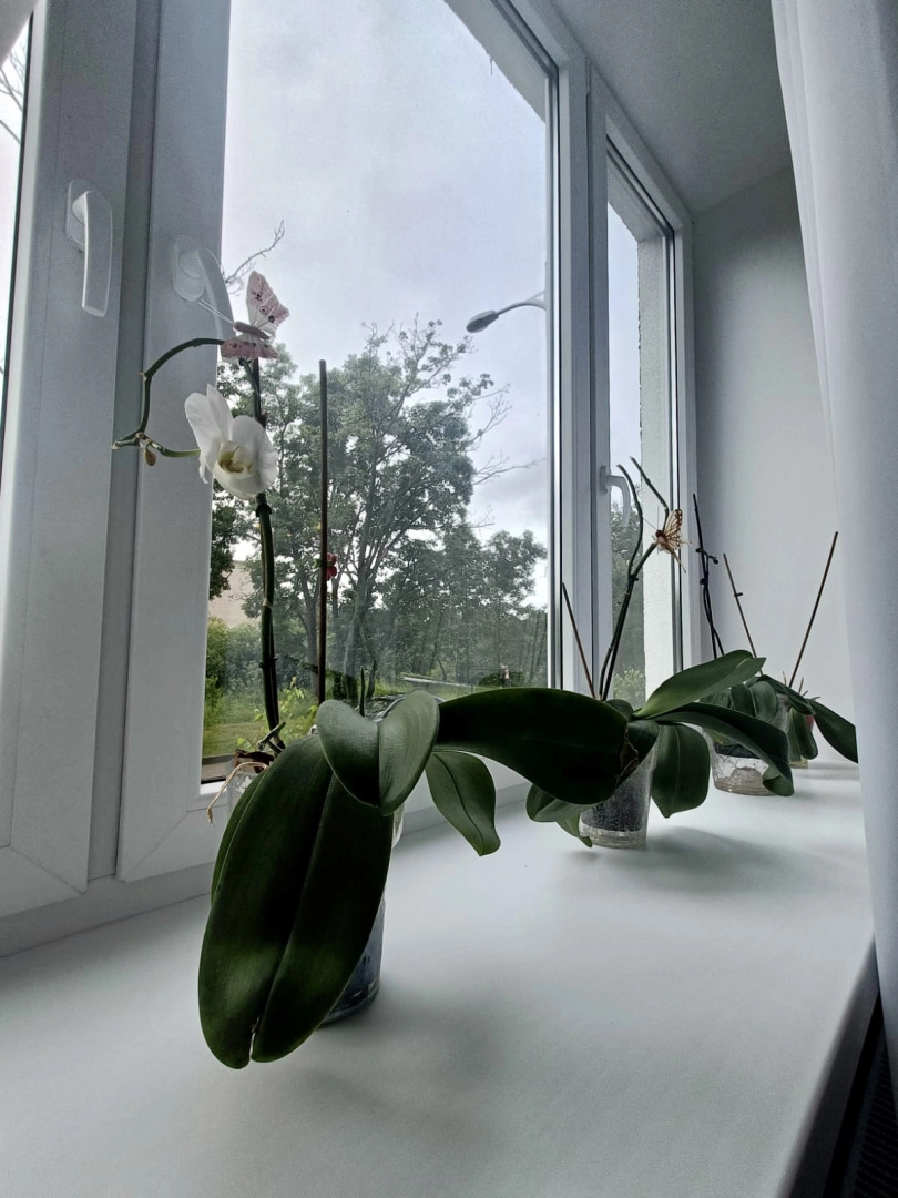 Квартира на Толстикова