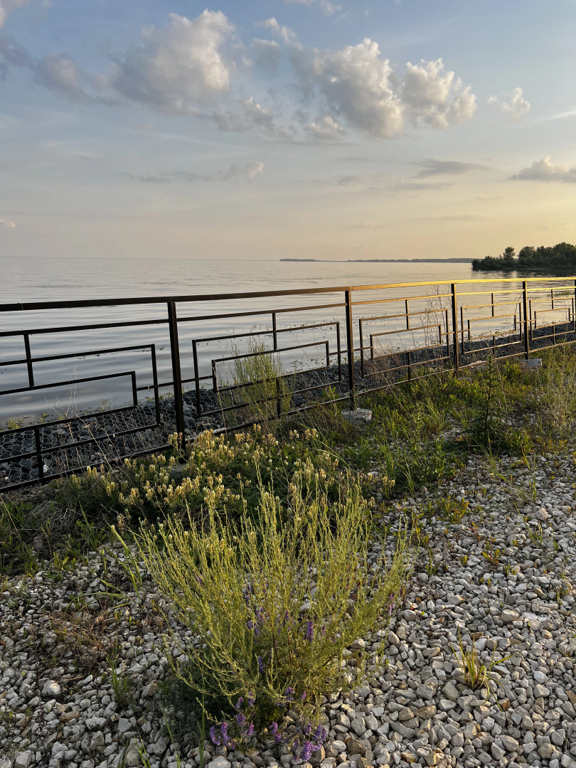 Частный дом White house