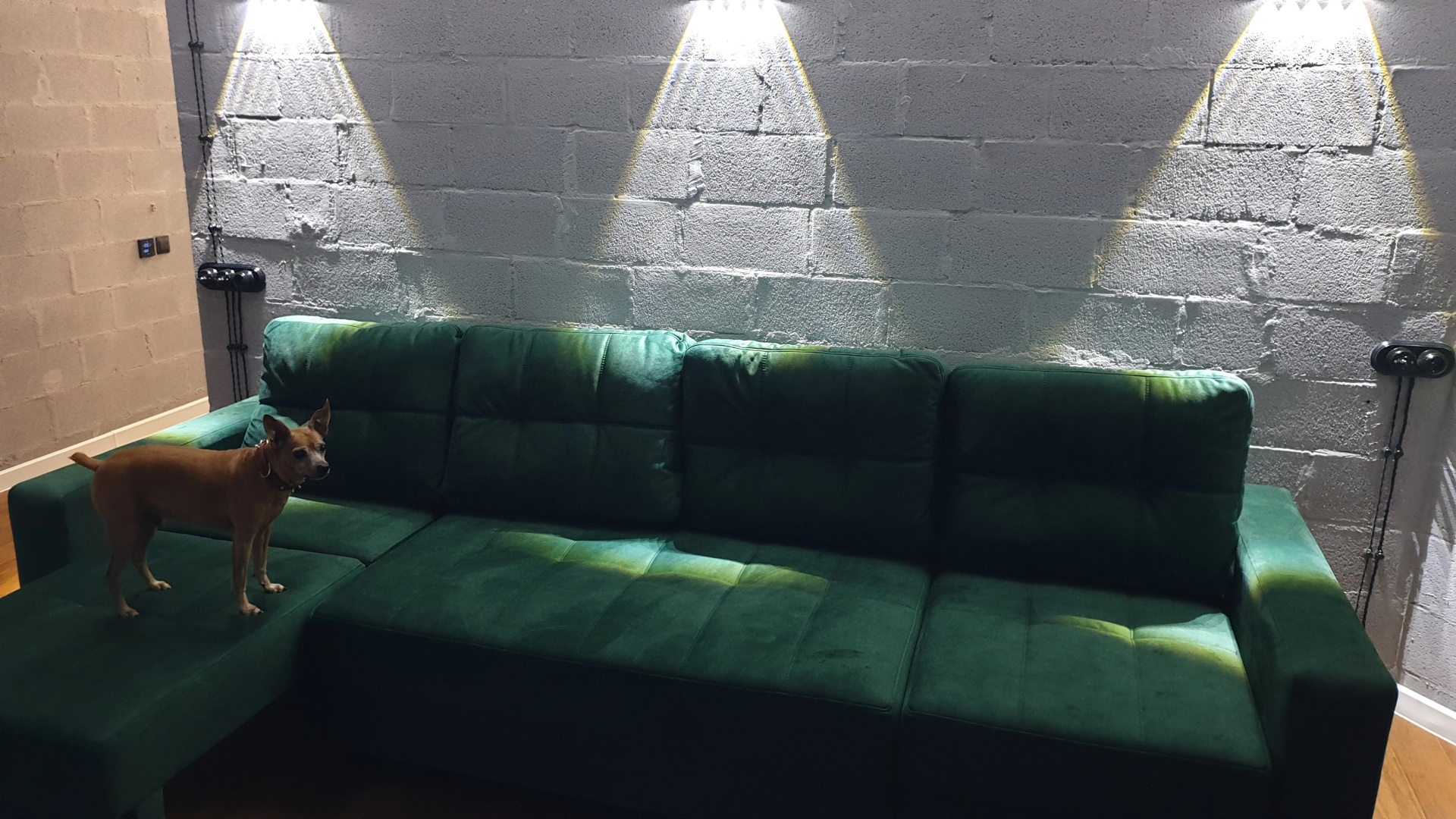 Апартаменты Green Lamp Downtown