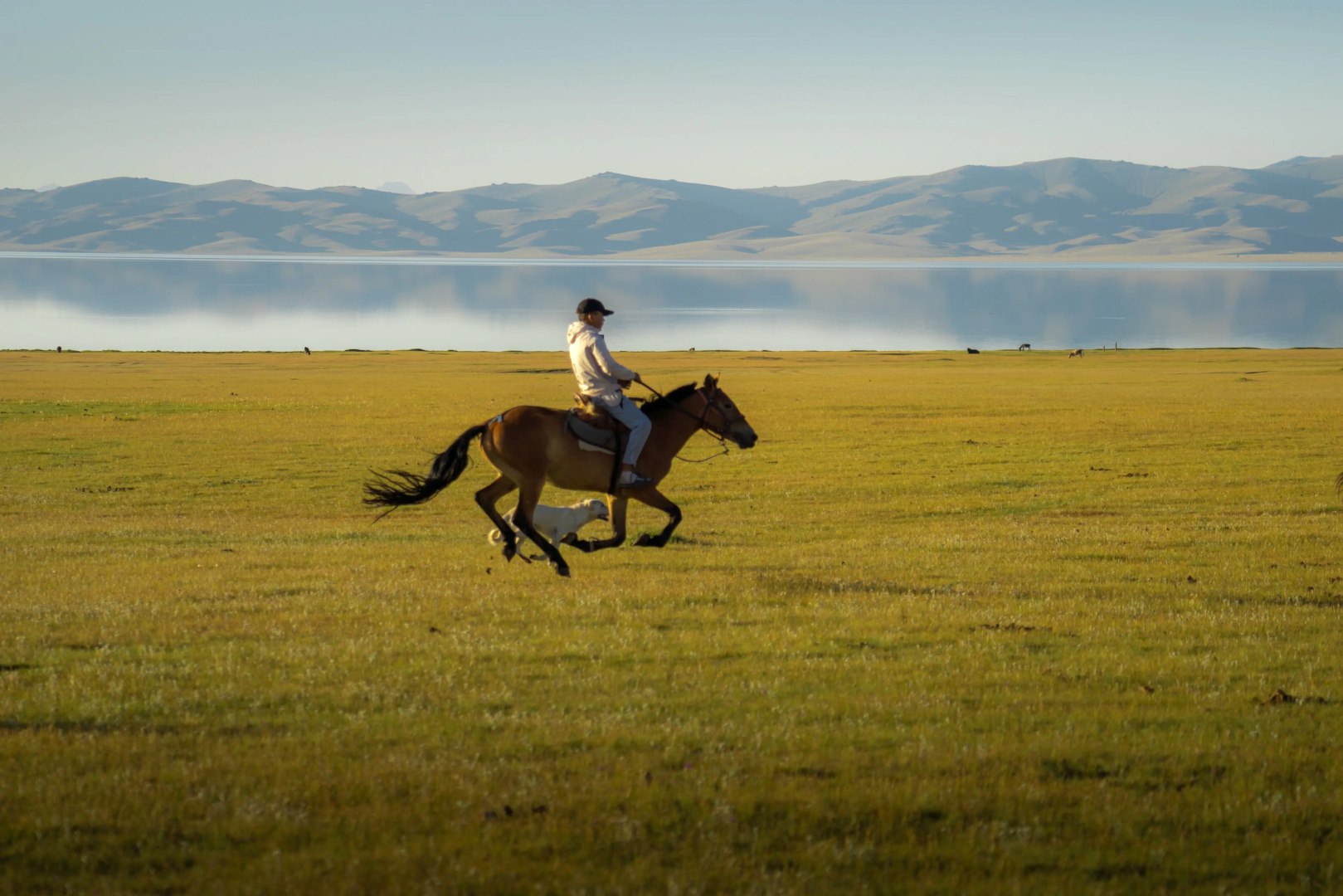 Глэмпинг “AK-SAI TRAVEL” yurt camp at Son Kul lake
