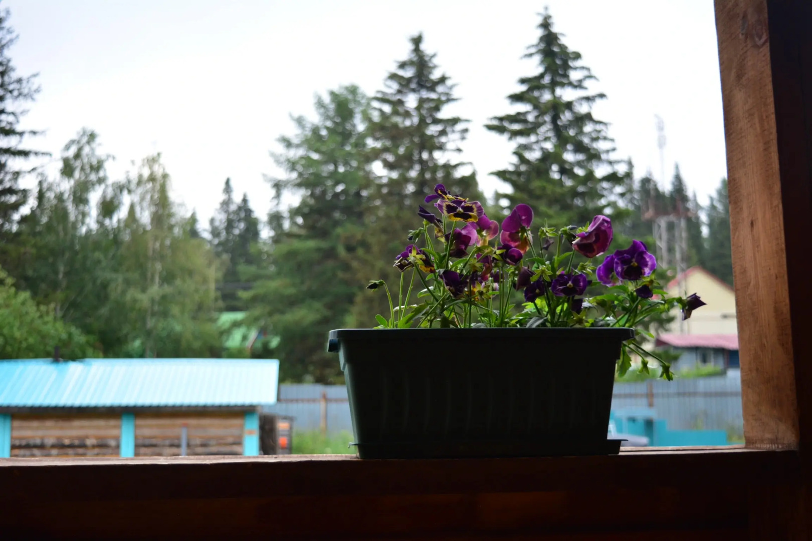 Гостевой Дом HomeSweetHomeZuratkul