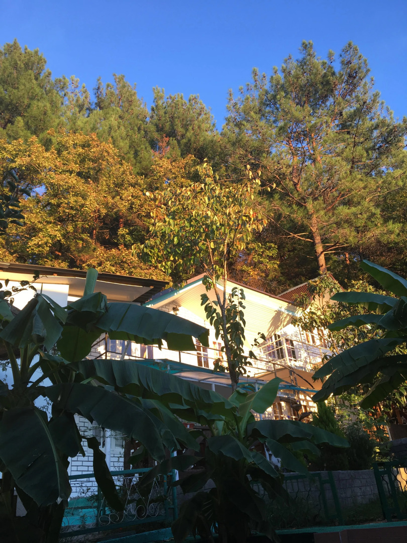 Гостевой Дом Ника