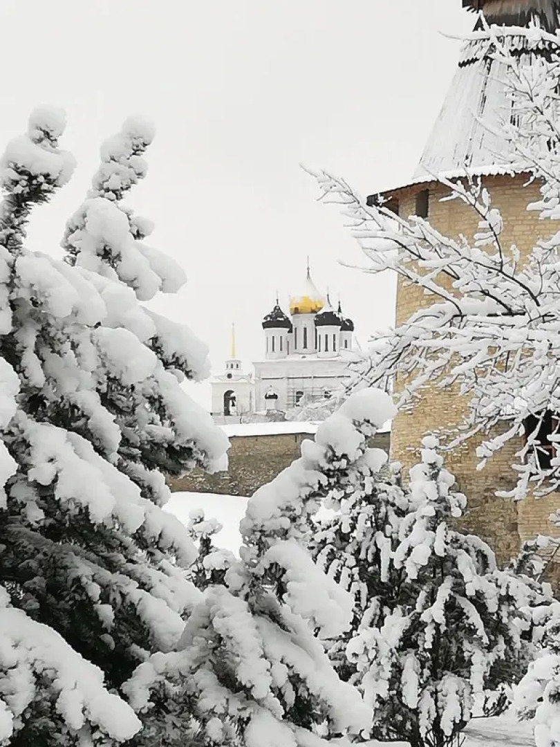 Квартира Приоритет