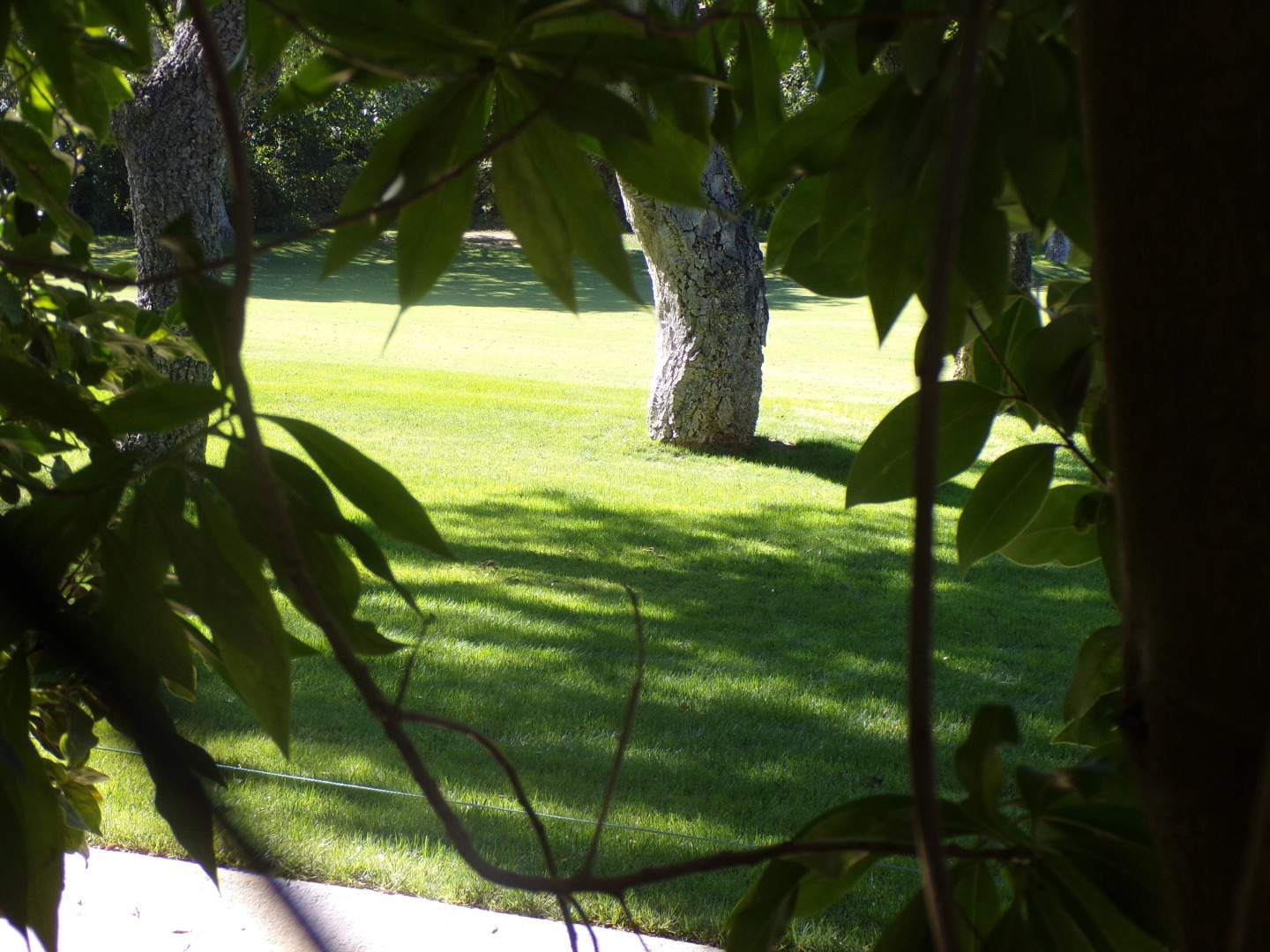 Гостевой Дом Casa Milanina