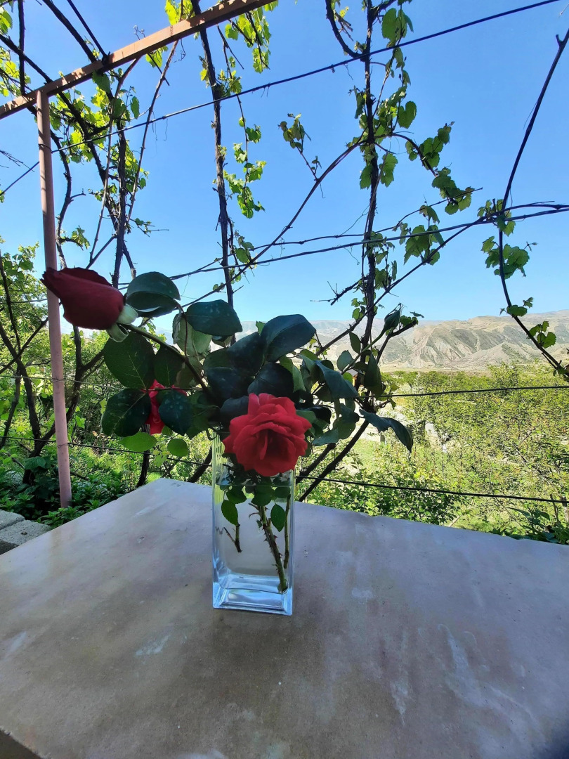 Гостевой дом Панорама