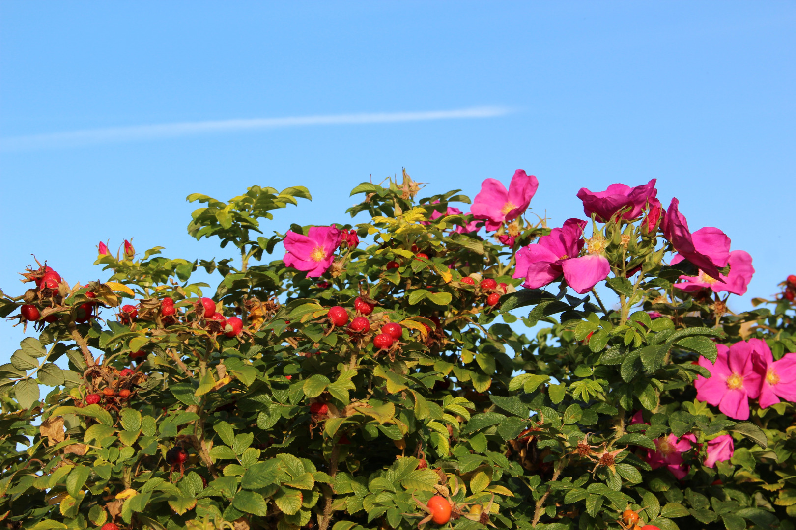 ЭКО Отель Настасьино Хуторок
