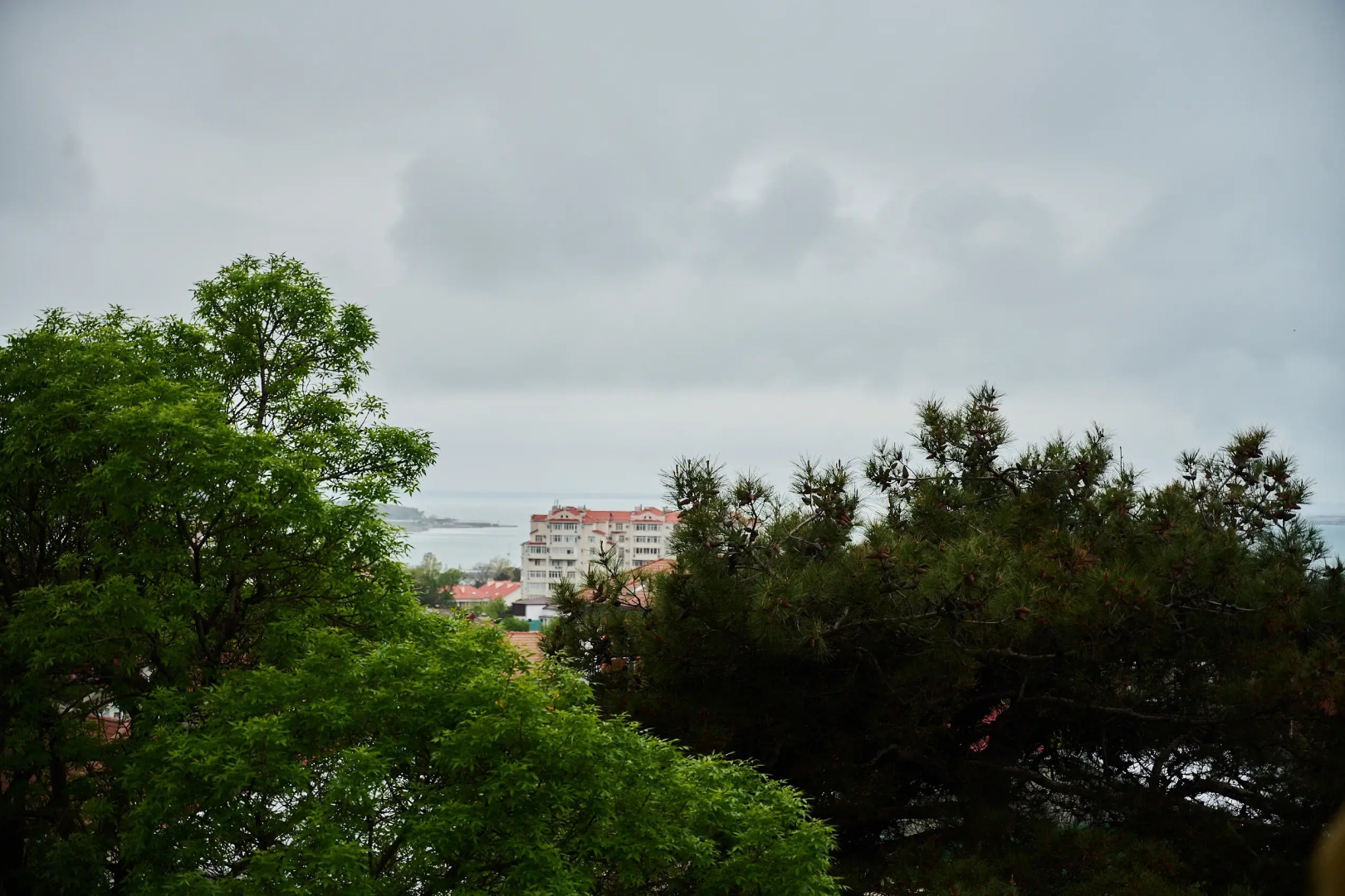 Гостевой Дом На Киевской