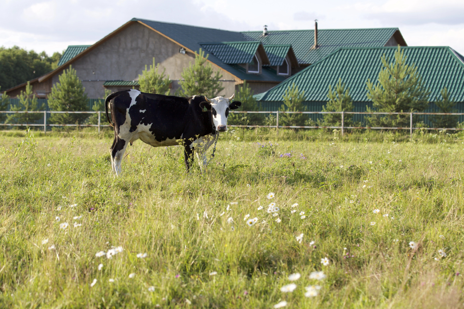 El Rancho Guest House