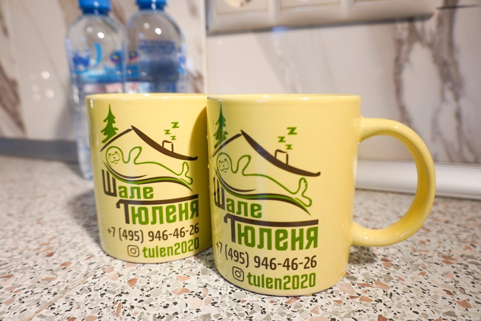 Гостевой дом Шале Тюленя