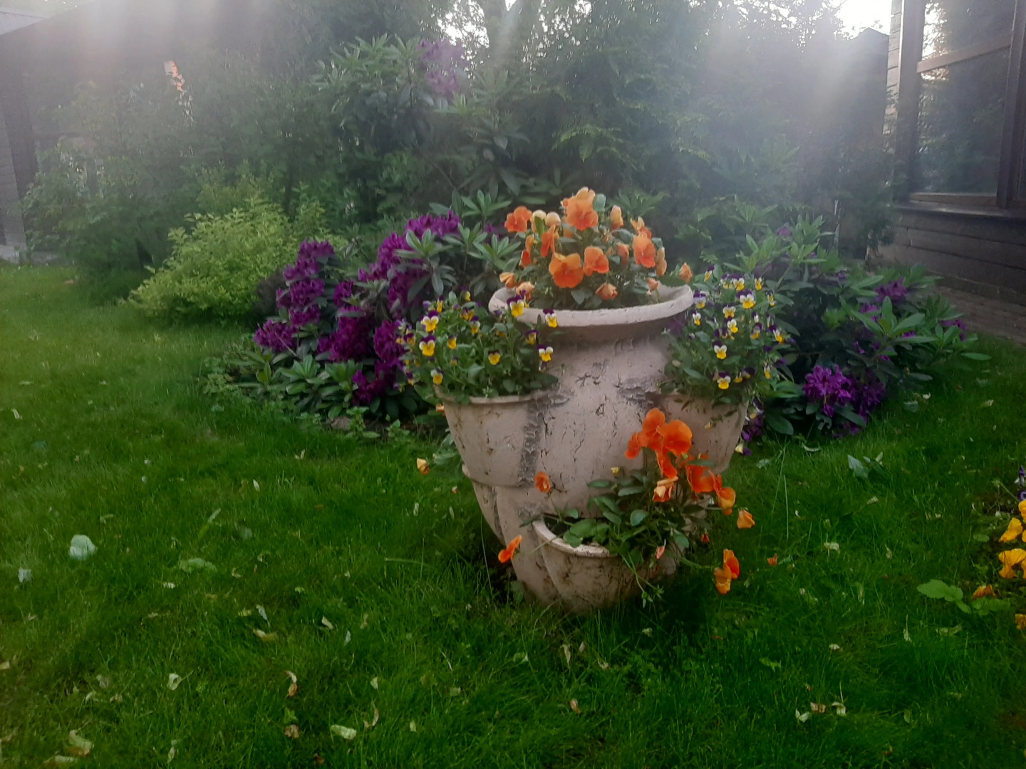 Гостевой дом Эко парк