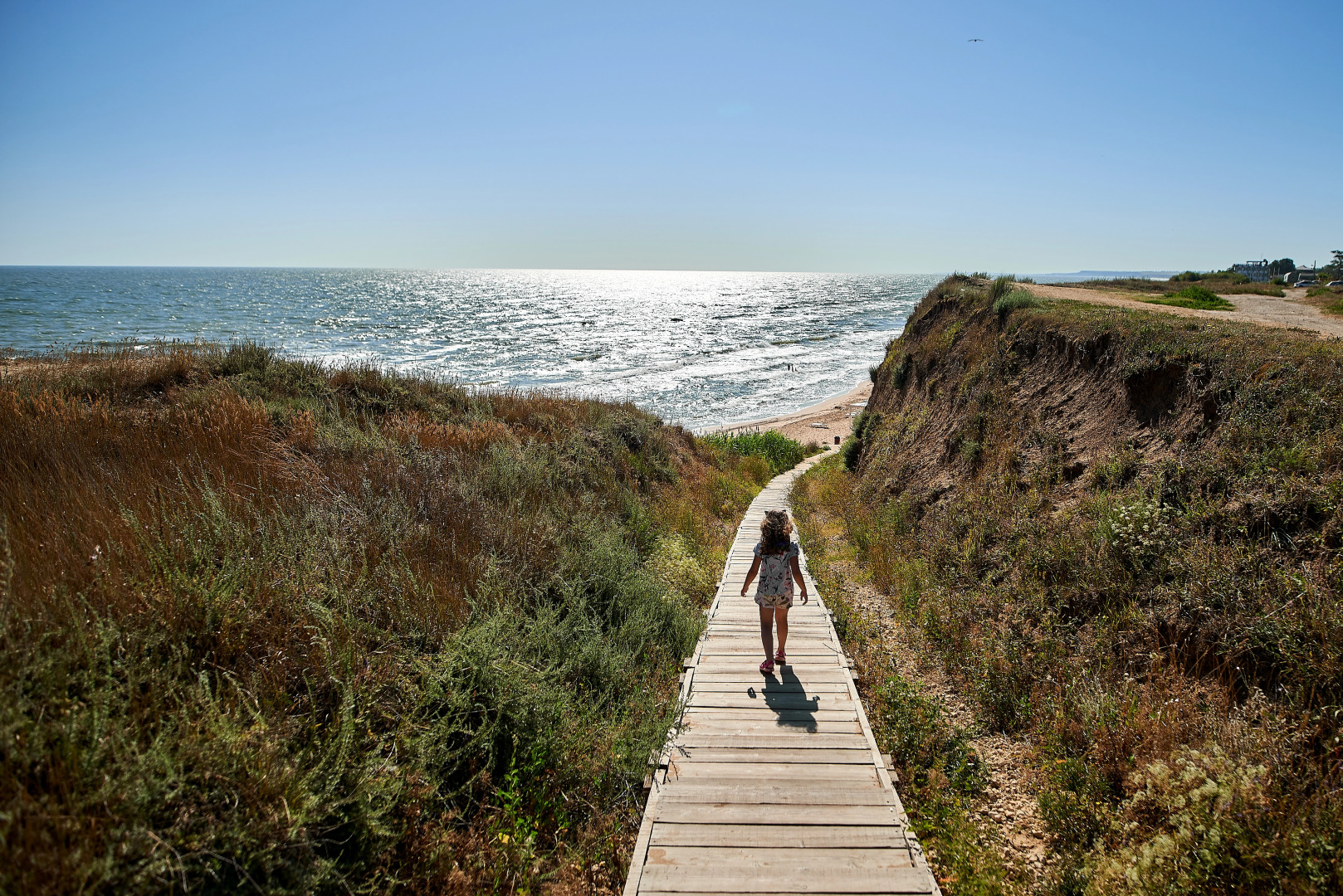 Гостевой дом Черепахи
