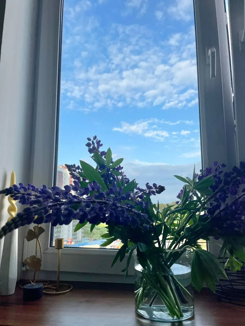 Апартаменты Eco Лес