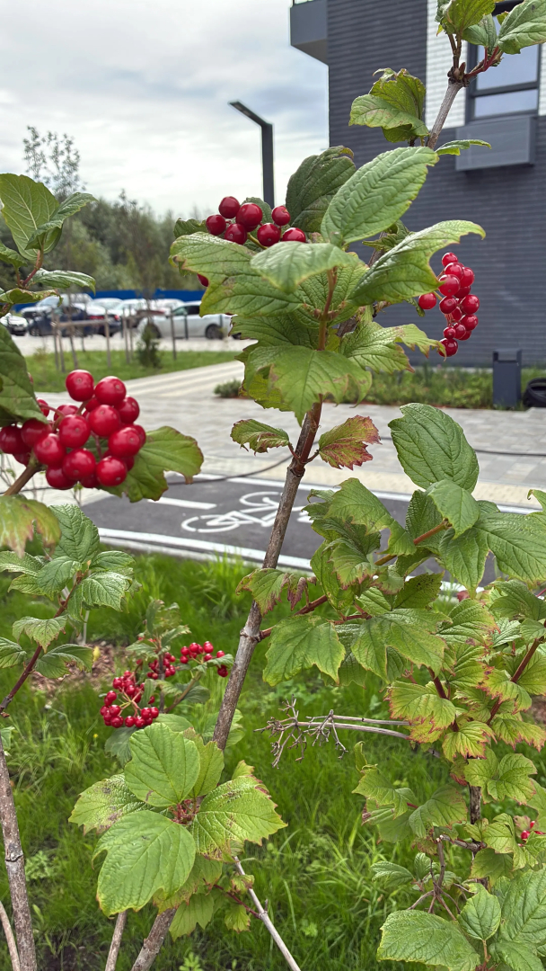 Квартира Исеть Парк Маяковского