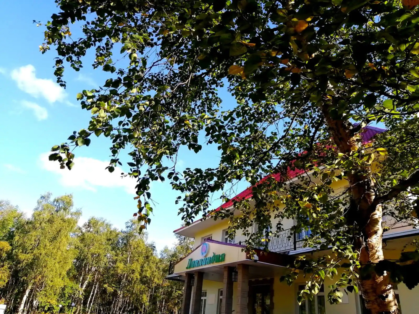 Отель Лапланидия