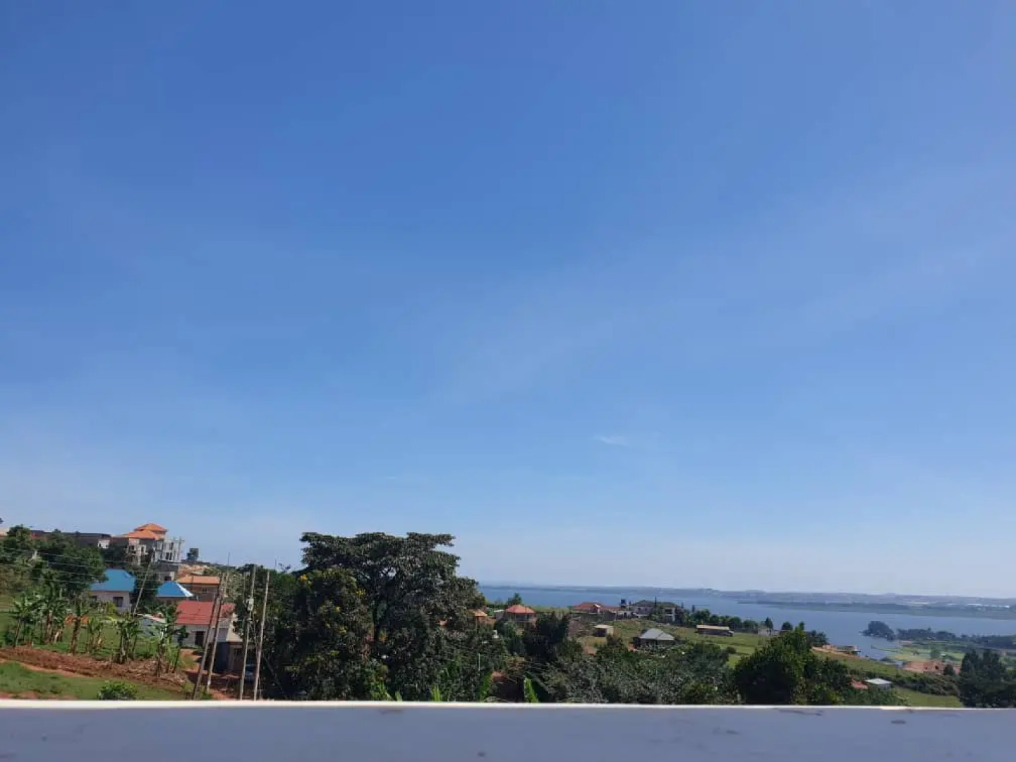 Апарт-отель Rosa Negra