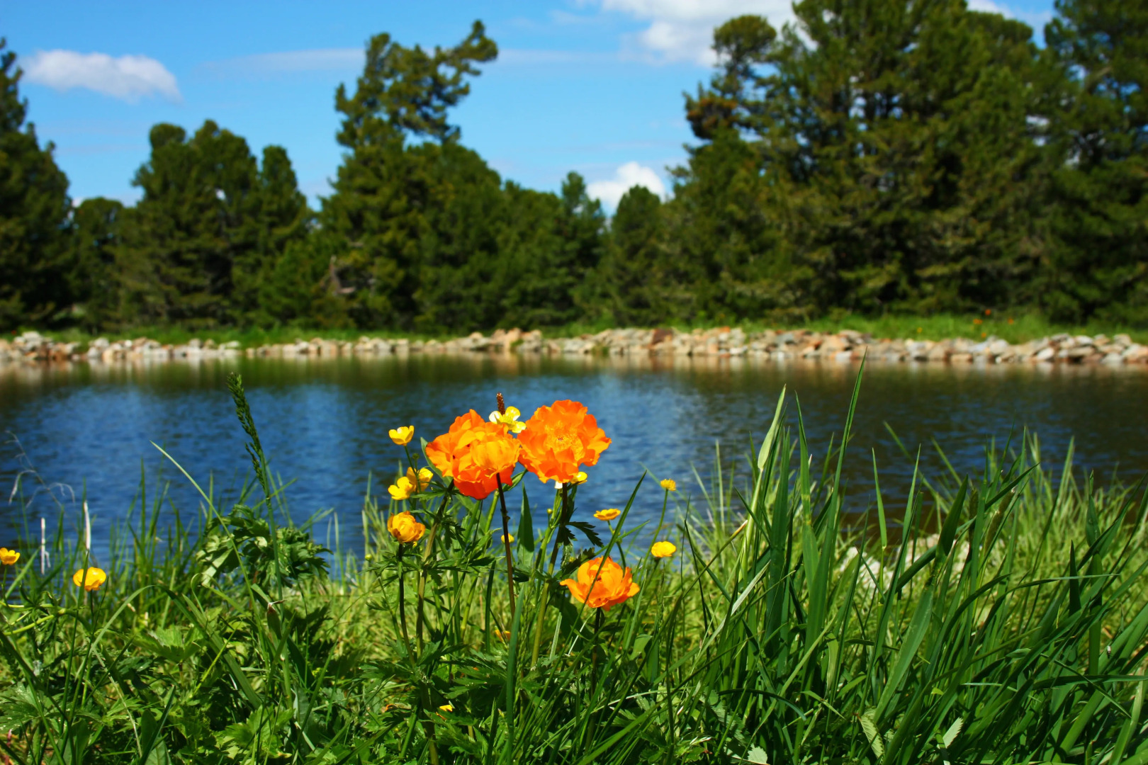 База отдыха Динамо Семинский перевал