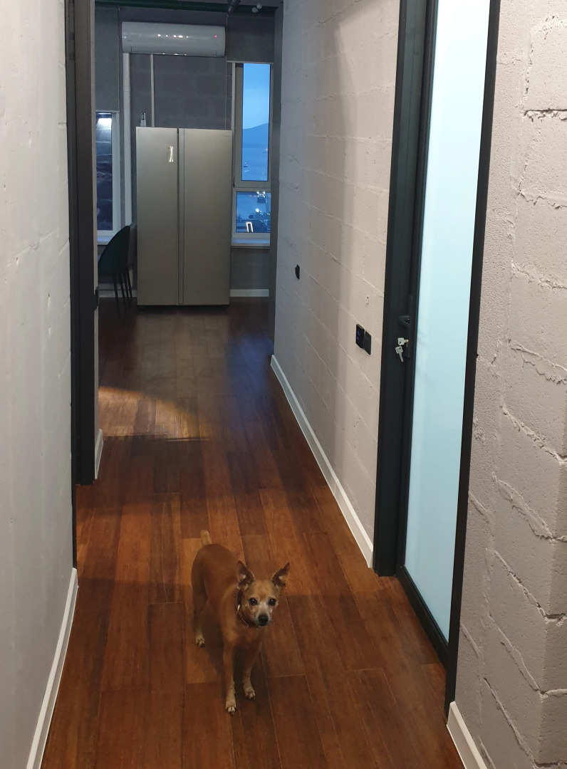 Апартаменты Green Lamp Downtown