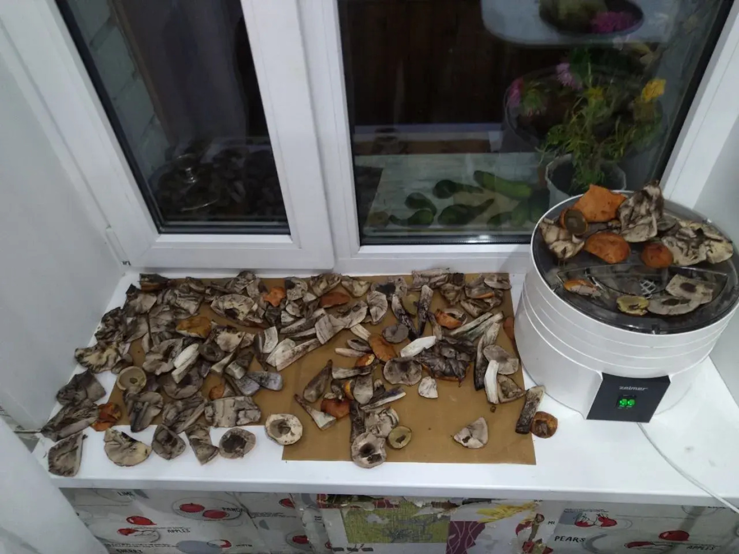 Частный дом у реки Сума