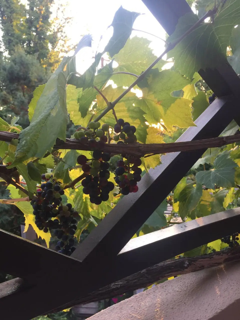 Гостевой дом Дом для гостей на Бризовой