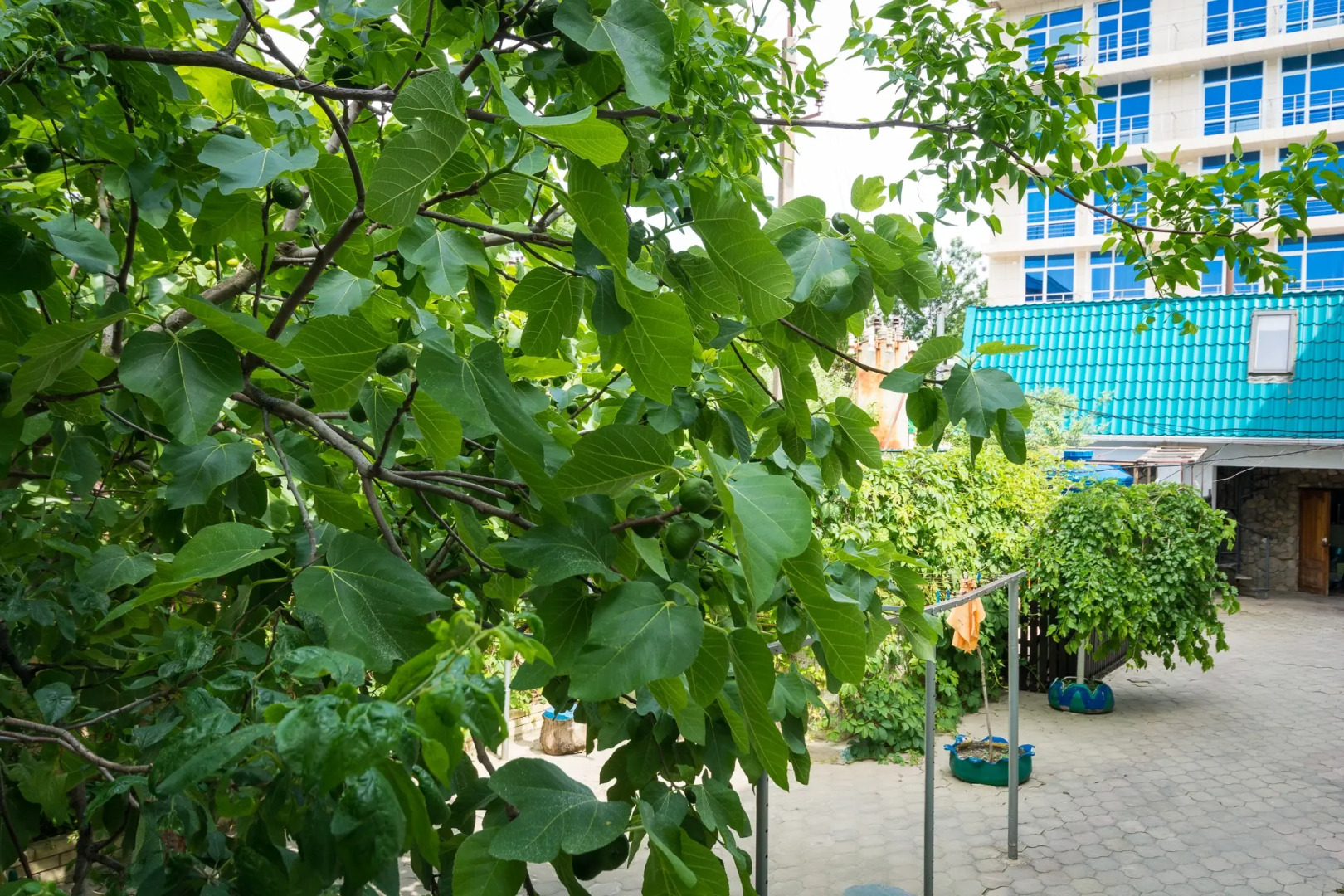 Курортный отель Лазурный берег