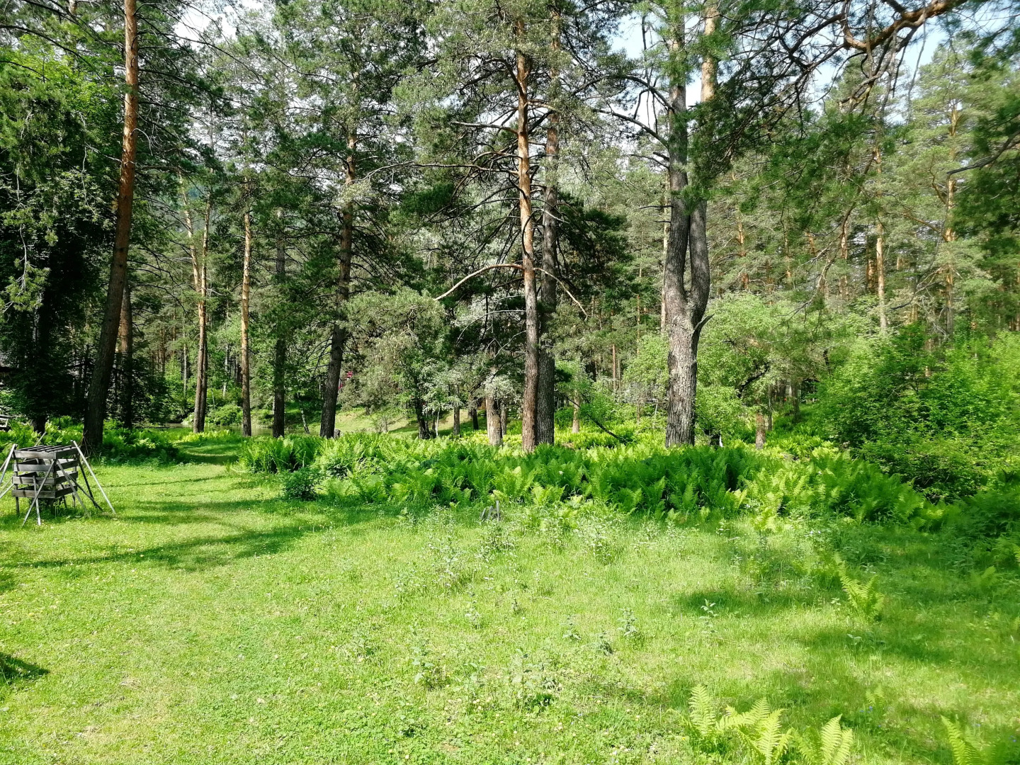 Гостевой дом Семейная Усадьба Мой Рай