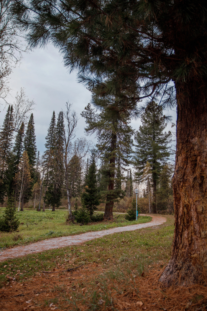 База отдыха Озерки