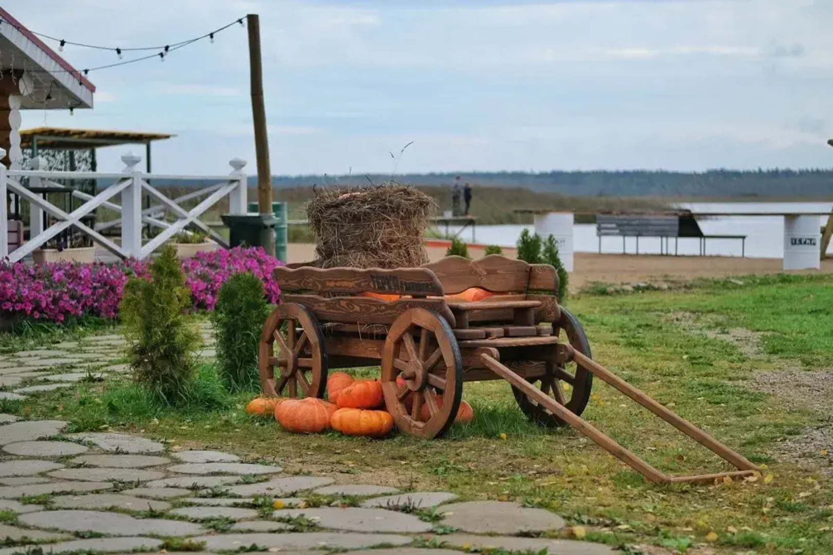 Гостевой дом Дикий Гусь