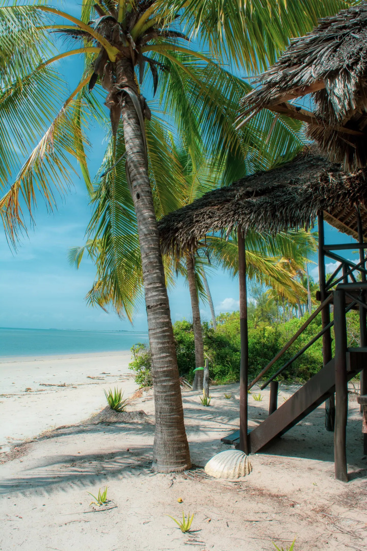 Отель Simply Saadani Camp