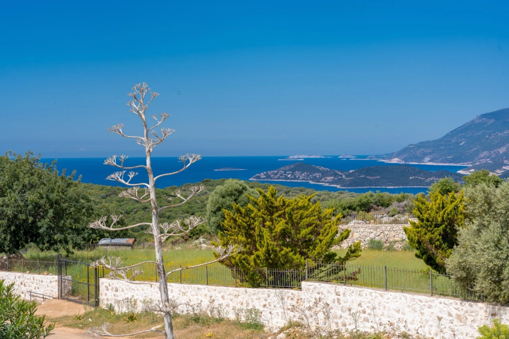 Бутик-Отель Lacitrus Villa