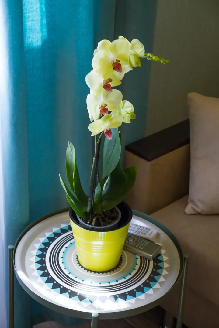 Мини-Отель Salstory