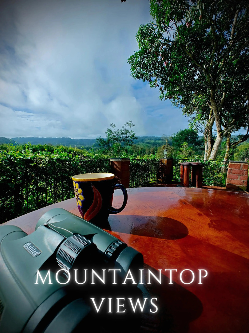 Отель The River House