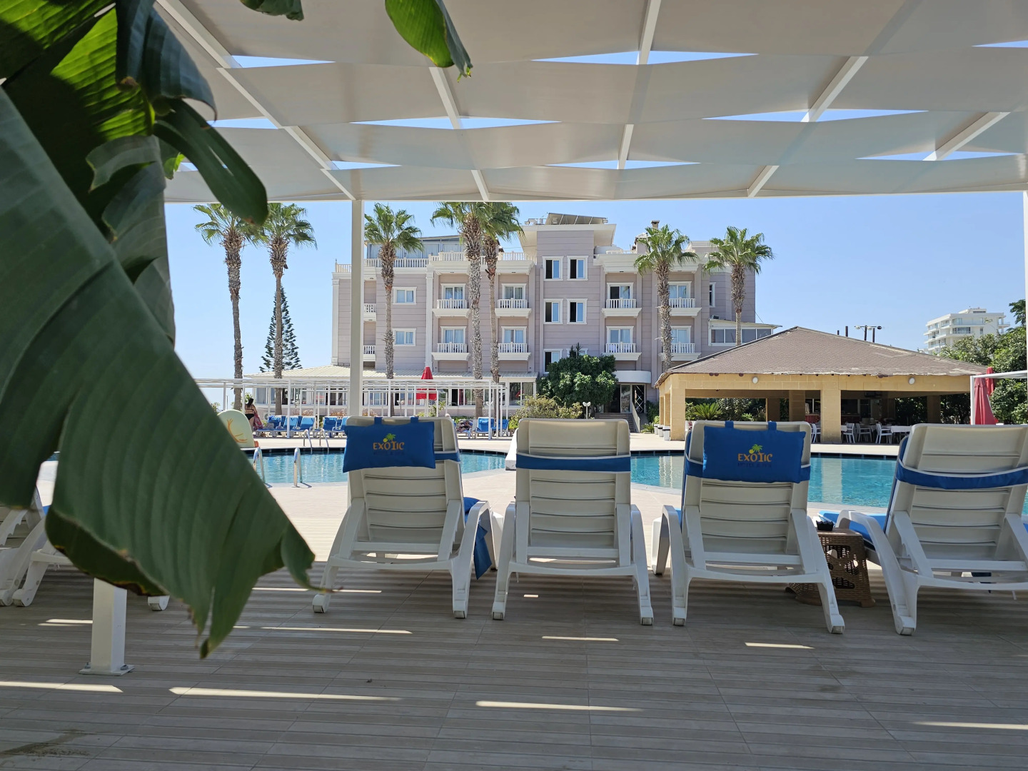 Отель Exotic Hotel & SPA