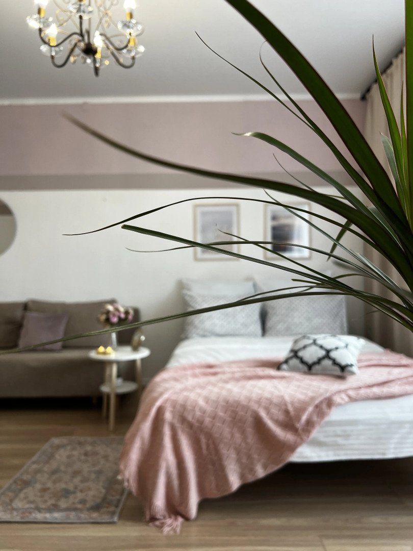 Квартира Пыльная роза