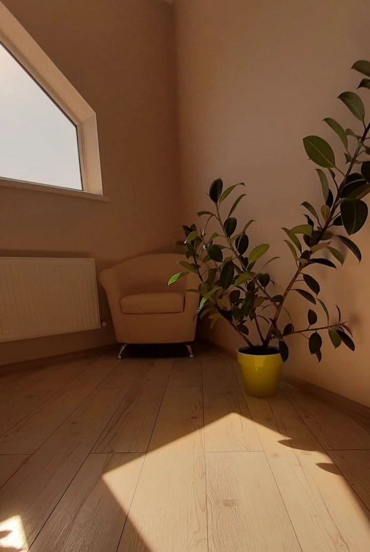 Отель Оазис