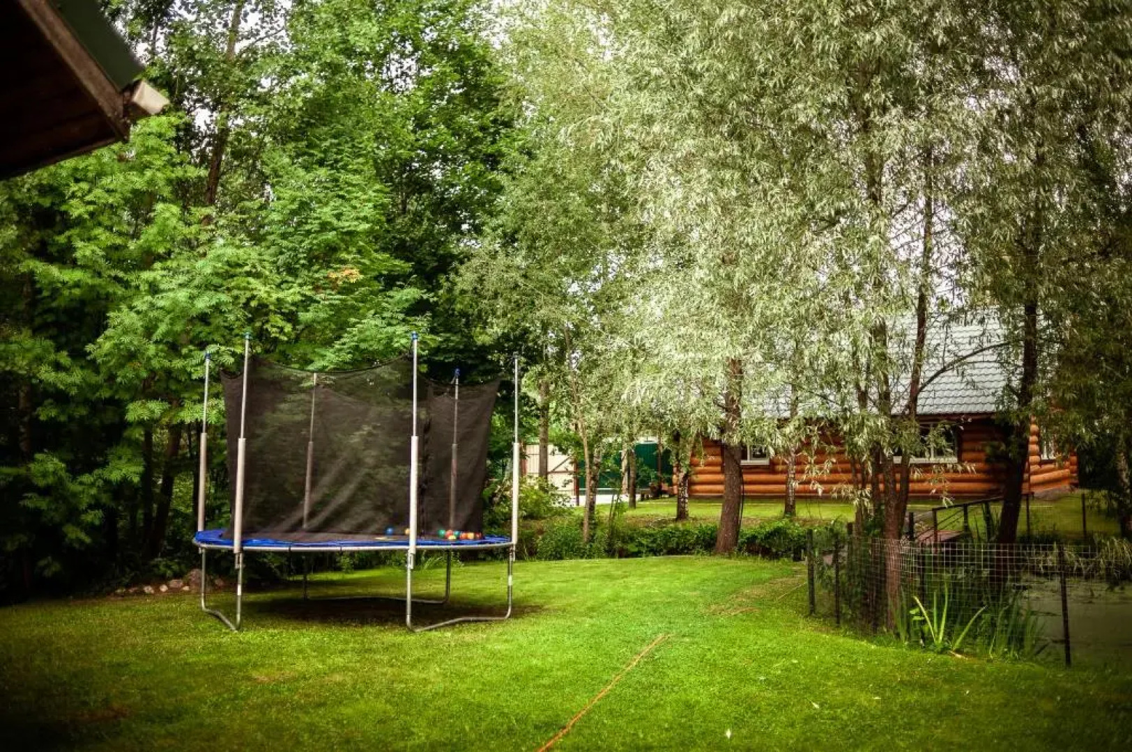 Шале  Изба Николаича