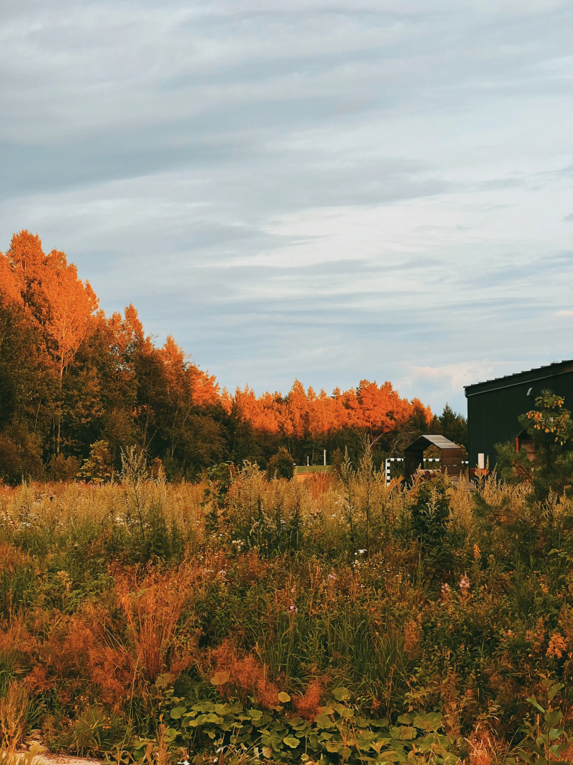 База отдыха Лава
