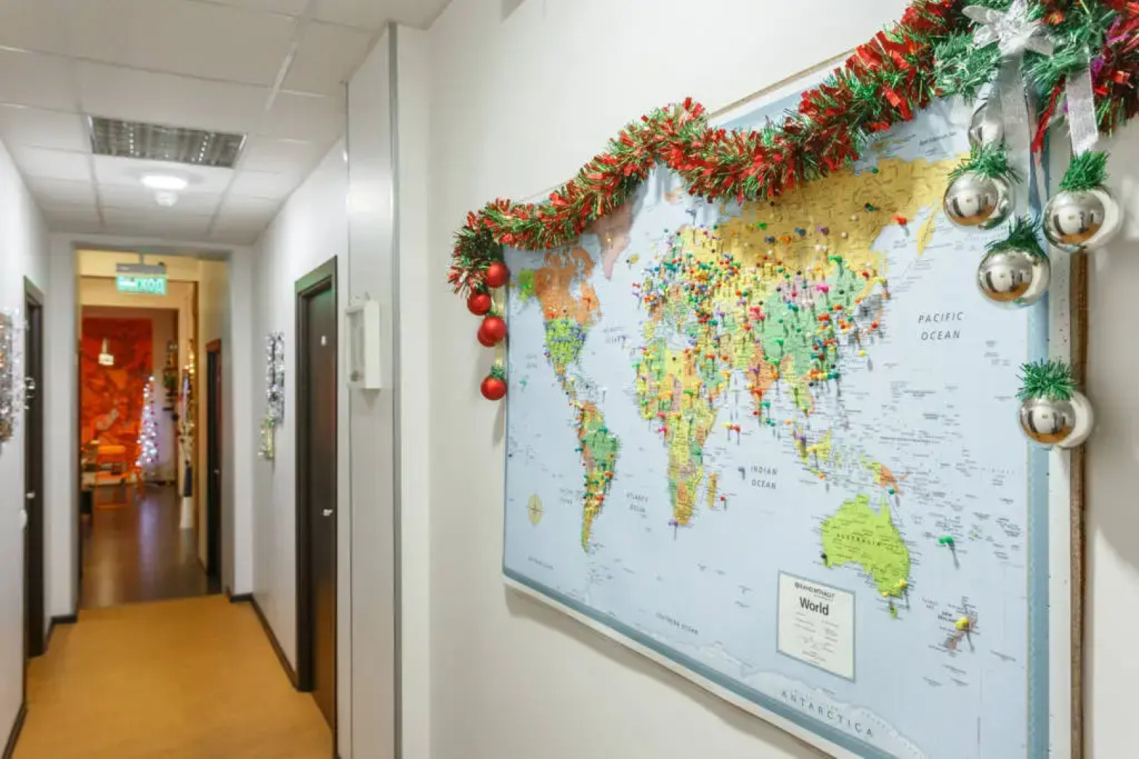 Хостел Сафари