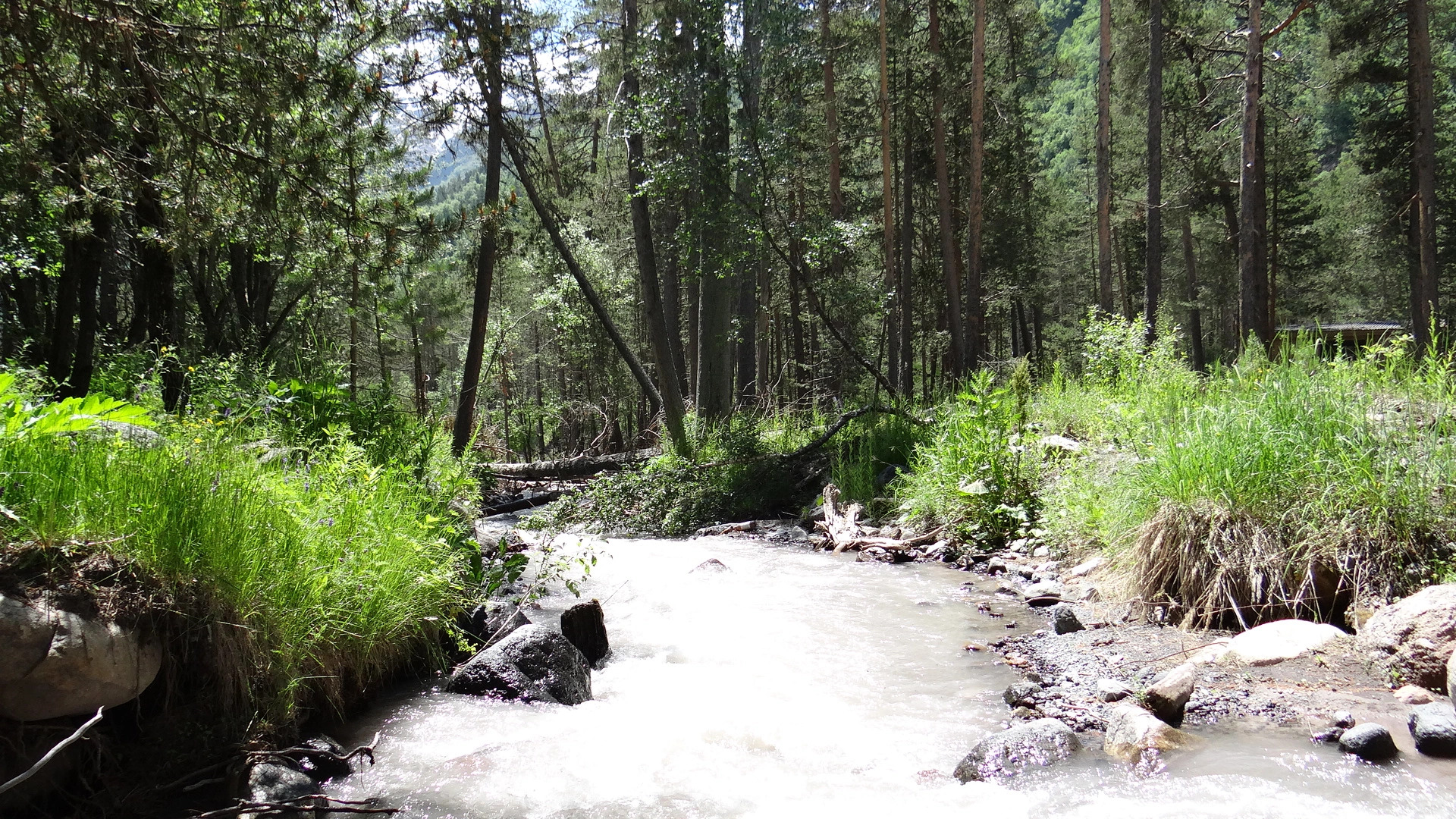 Вилла Сердце гор 5