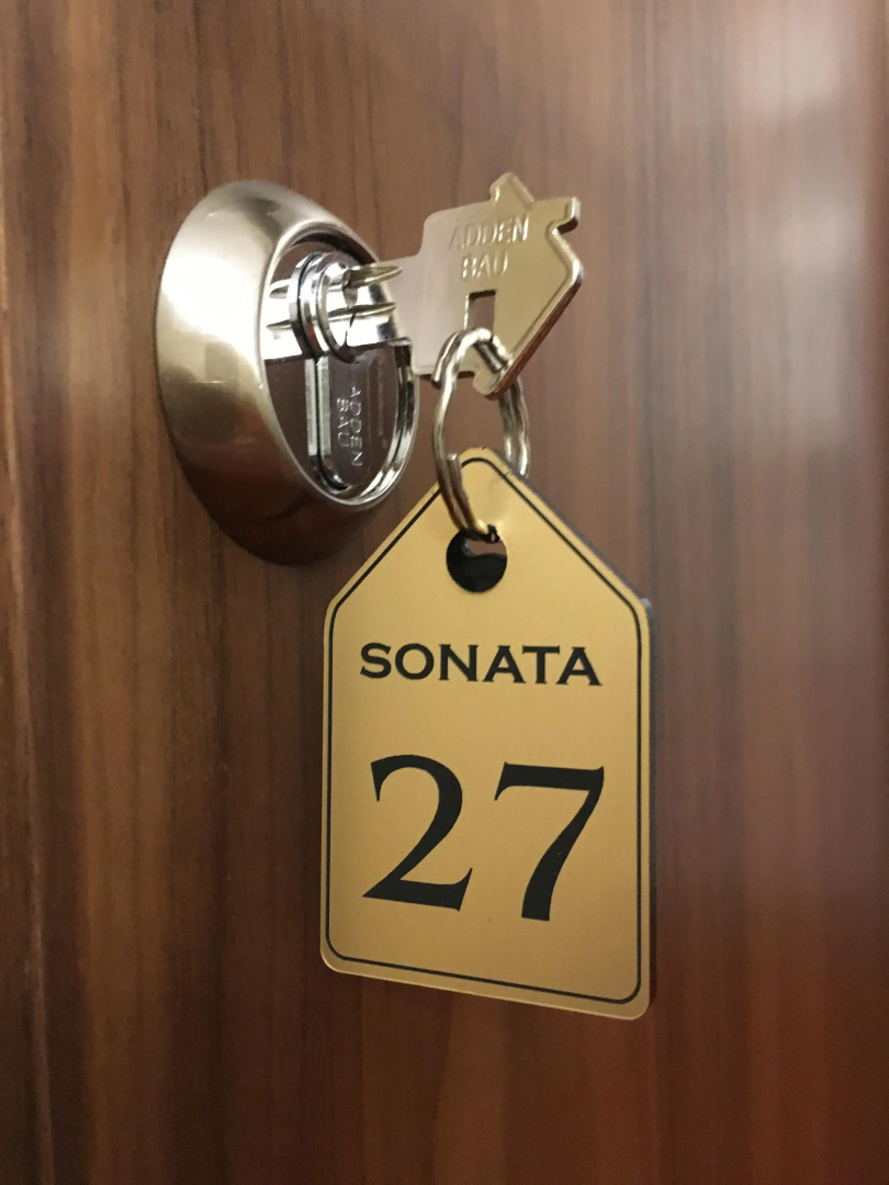 Гостиница Соната Невский 5 Дворцовая площадь