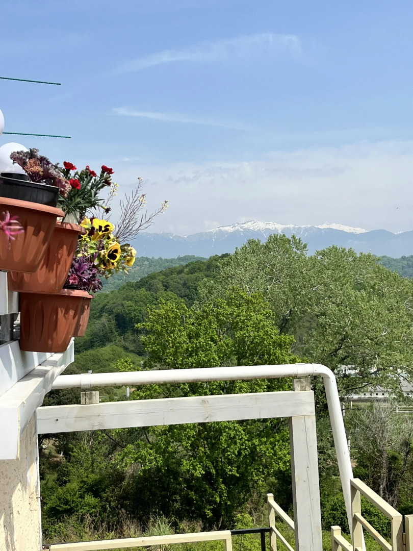 Квартира Апартаменты Квартира-Студия Сердце Адлера