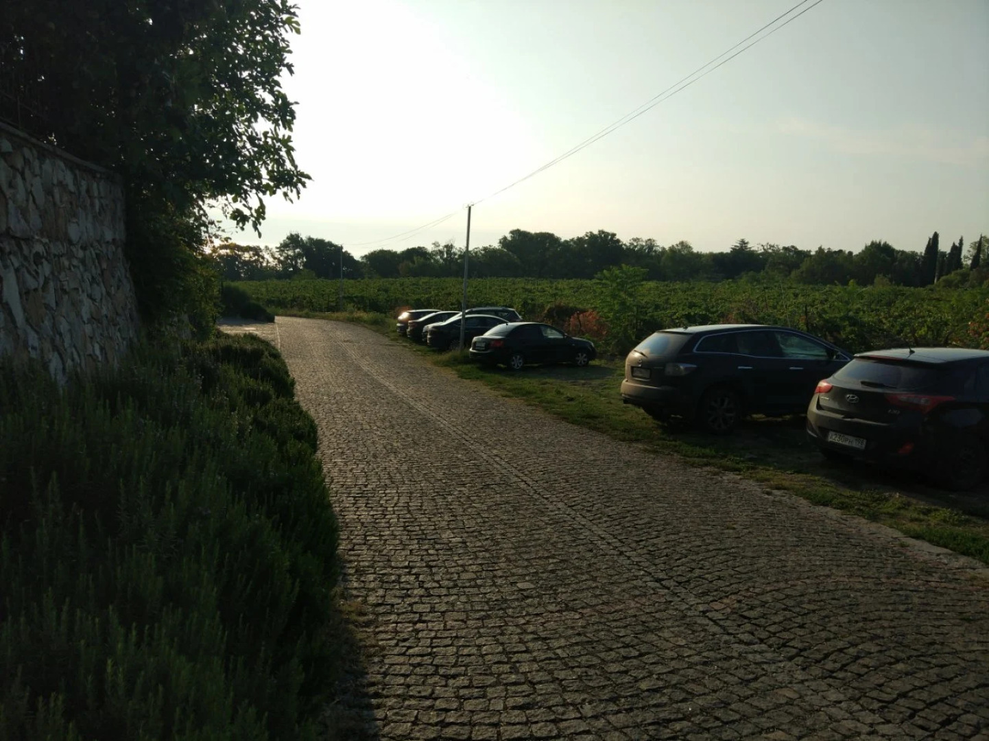 Гостевой дом Царь