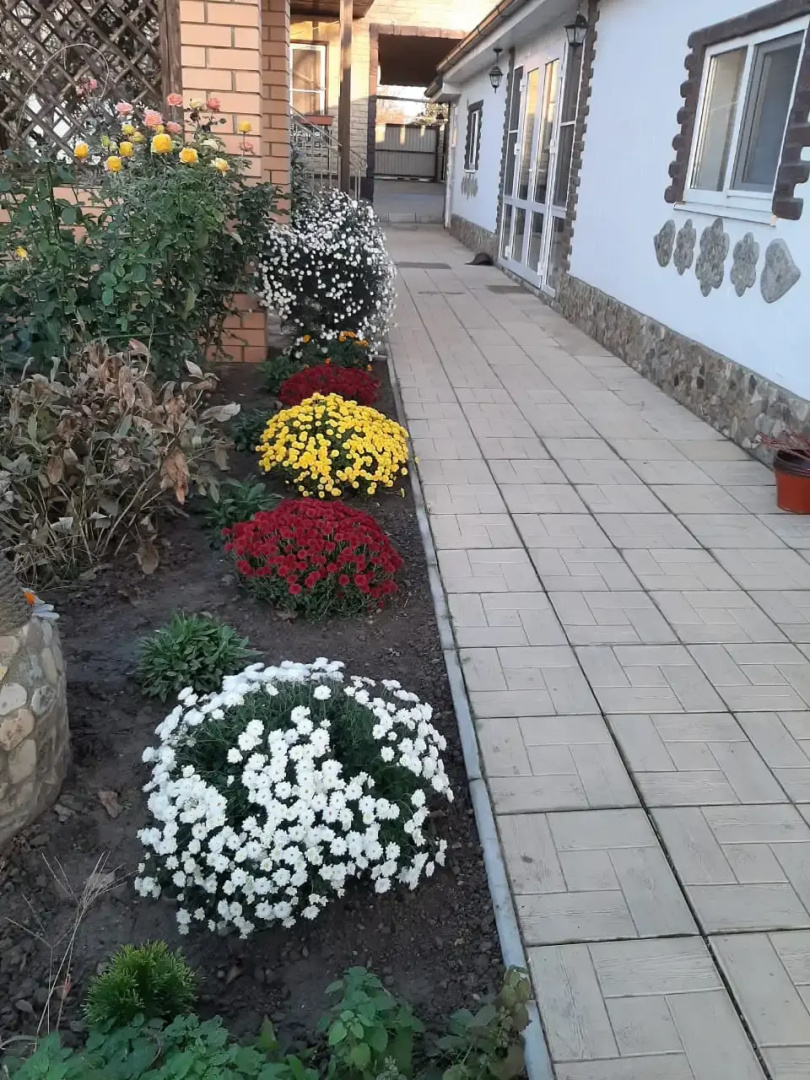 Solnechny Guest House