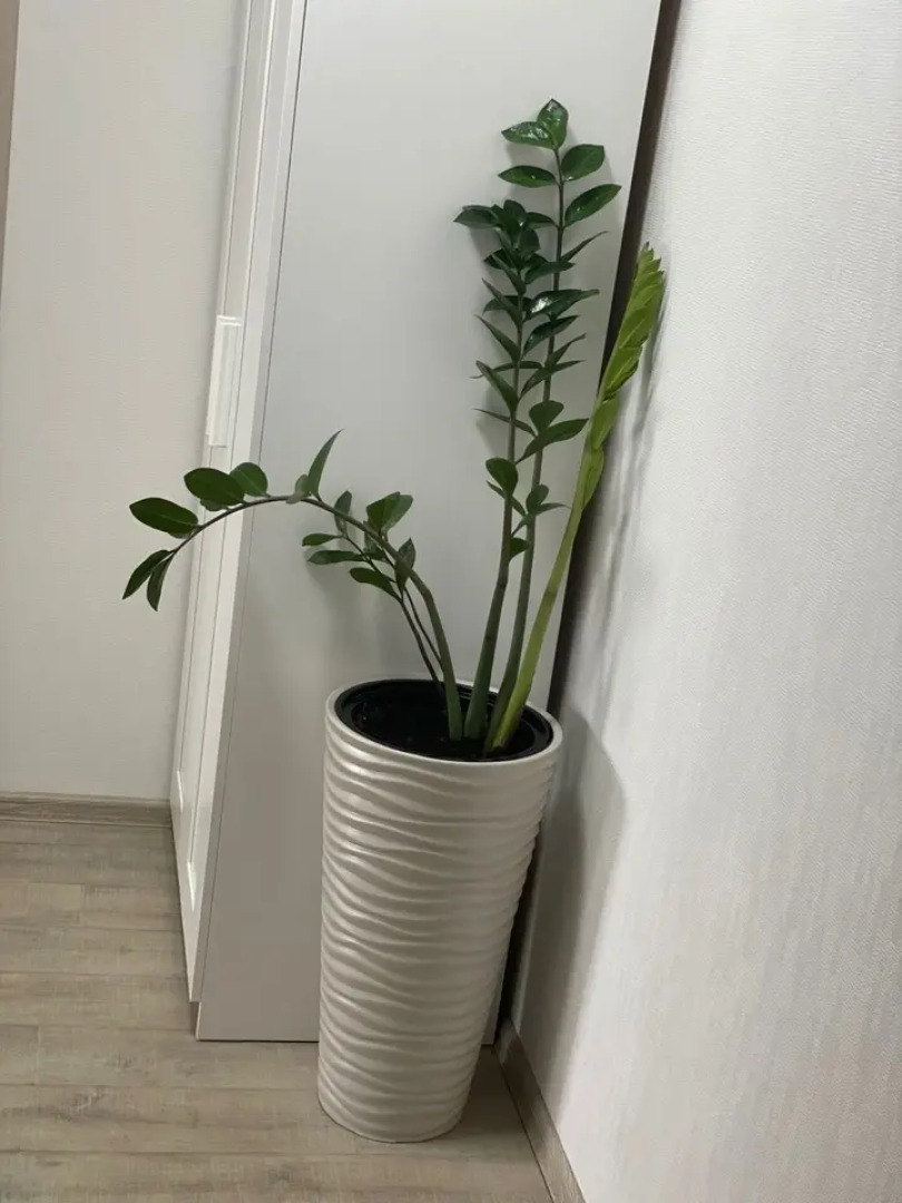 Апартаменты на Симонова 2