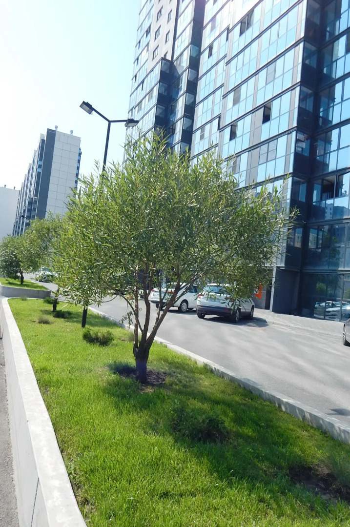 Квартира Суперчистая Новая Студия в Эво Парке